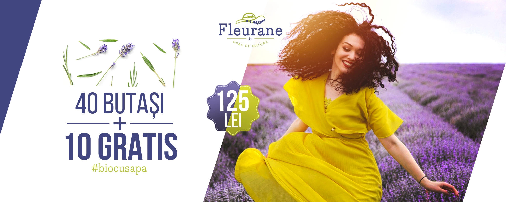 Lan lavanda fleurane