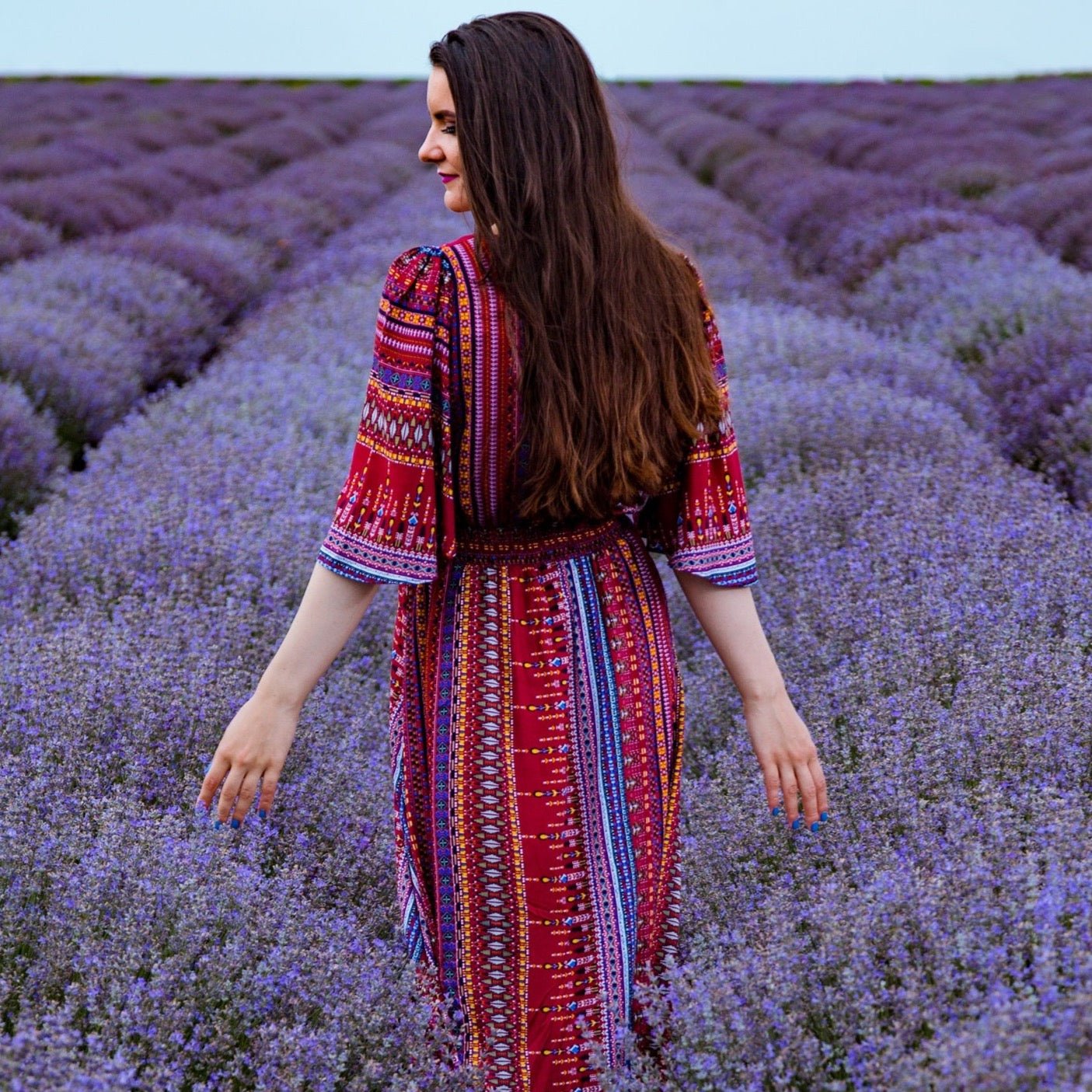 Butasi de lavanda - Fleurane.ro