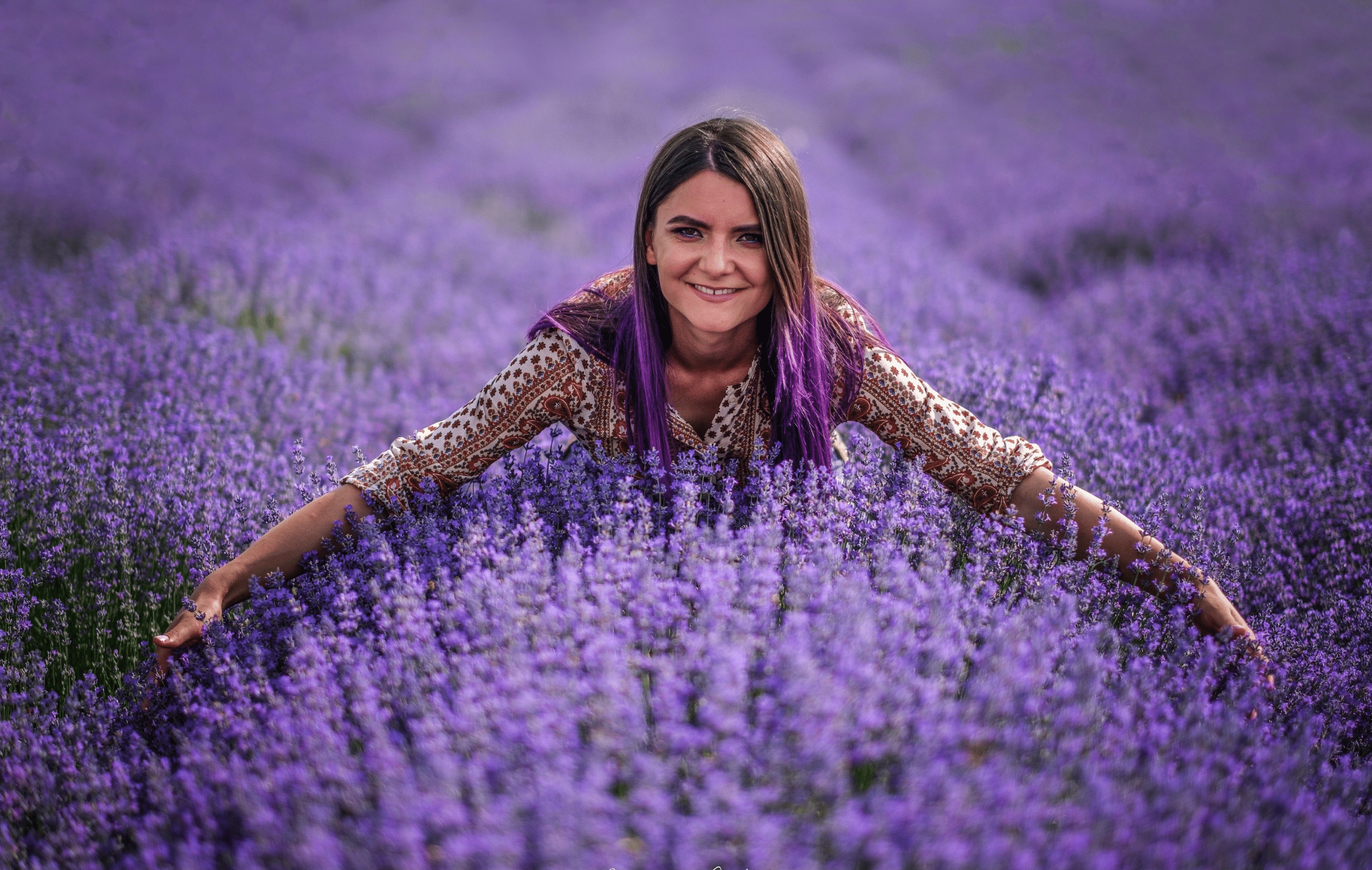7 lucruri despre afacerea cu lavanda pe care nimeni NU le zice - Fleurane.ro