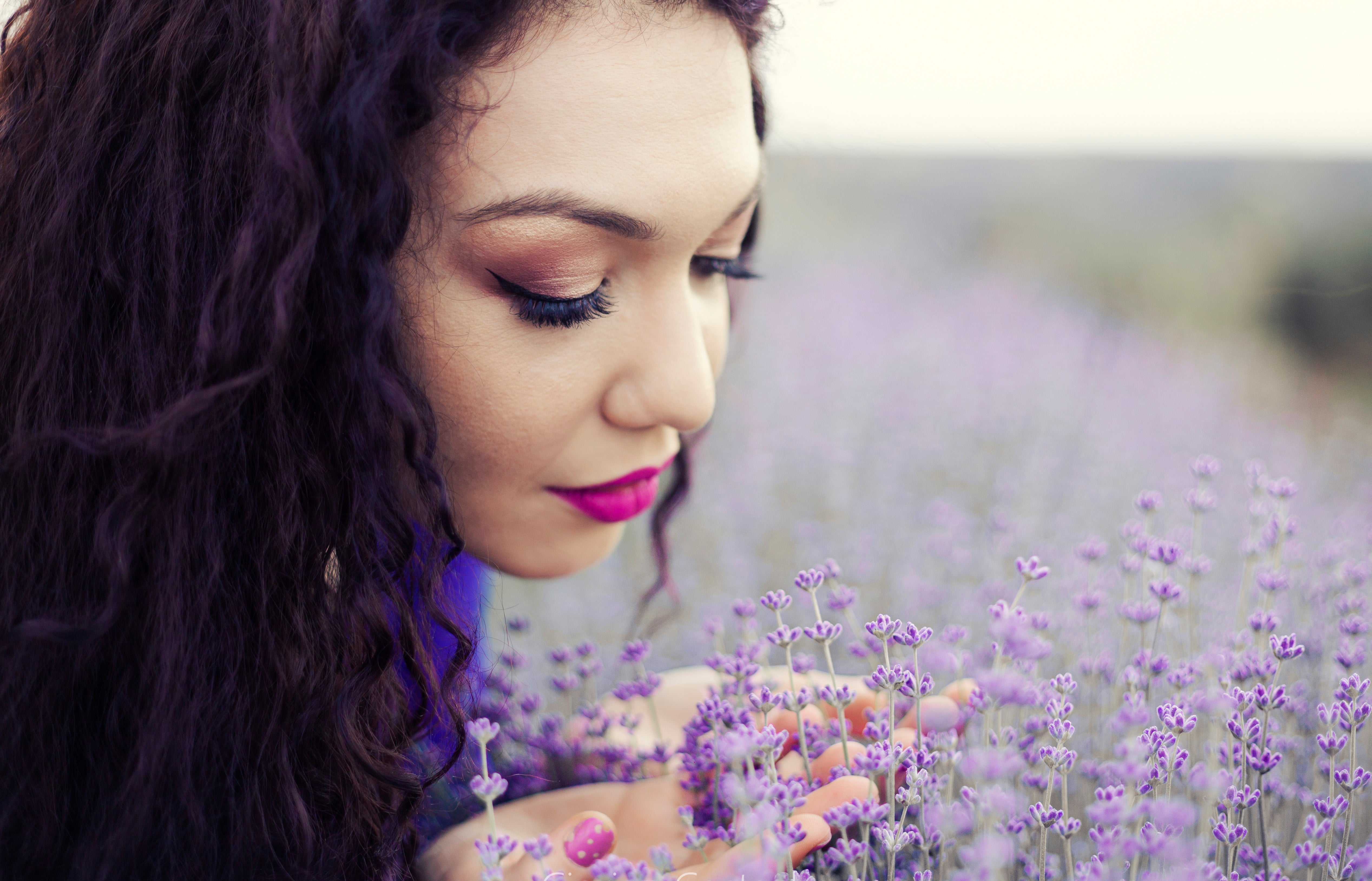 LAVANDA - Fleurane.ro